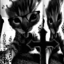 Xx_Midnightloser_xX's profile picture