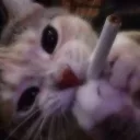 Idk chilling's profile picture