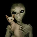 vastastic's profile picture
