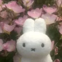 miffy bluum