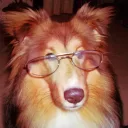 Xee_Ur_Guy!!!'s profile picture