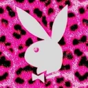 diva ⋆˙⟡
