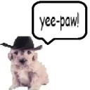 texas!!'s profile picture