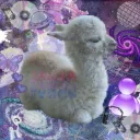 savvluvsllamas__'s profile picture