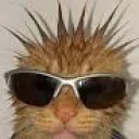 xeathbed's profile picture