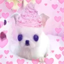 sparklesoul's profile picture