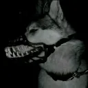 Elliot's profile picture