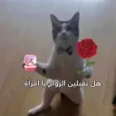 Amm
