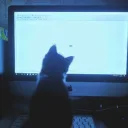 abstract's profile picture