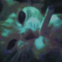 Mo0p
