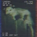 ⌖⦻Fáelán⦻⌖'s profile picture