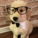 PolitelycollaredWesley's profile picture