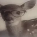 visp's profile picture