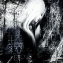whimsy.soul's profile picture
