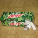 M0untain_Dylan
