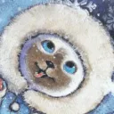 momissao's profile picture