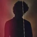 RedCarpet's profile picture