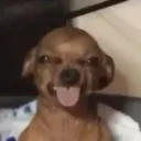 XxSmelly_wellyxX's profile picture