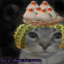 K1r4's profile picture