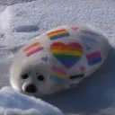 sealiee1's profile picture