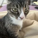 deathofanangel's profile picture