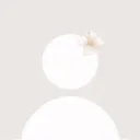 detail's profile picture