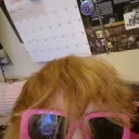 x2f4nguin4re2x's profile picture