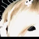 xX_vampsydnie_Xx's profile picture