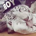 meetmimi's profile picture