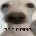 dθrθ._.46's profile picture