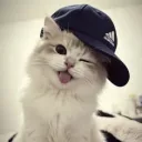 ctoast's profile picture