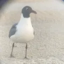 jendy's profile picture
