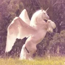 AngelicAlicorn's profile picture