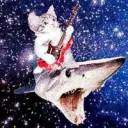 Mellon Collie's profile picture