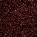 Bloody_Mold's profile picture