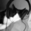 Hayleyyy's profile picture