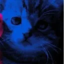 Nxys/ejsrightsock's profile picture