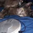 xCorvid_Caninezx's profile picture