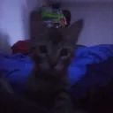 Demiii's profile picture