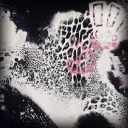 Winter_night23's profile picture