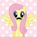 mushycat's profile picture