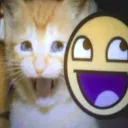 YEAH_Y3@H