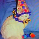 WilburTheArtist3's profile picture