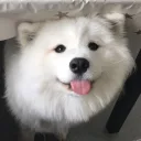 lucian's profile picture