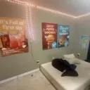 Animals's profile picture