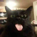 Fusionz's profile picture