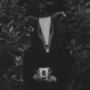 Meliora's profile picture