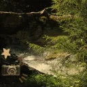 Nature_GEEK's profile picture