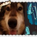 barky_bonez's profile picture