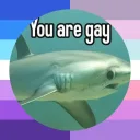 $kittl3sg0h@rd (they/them)'s profile picture